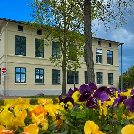 Ferienwohnung _Altes Zollamt_ Neustadt in Holstein Dış mekan fotoğraf